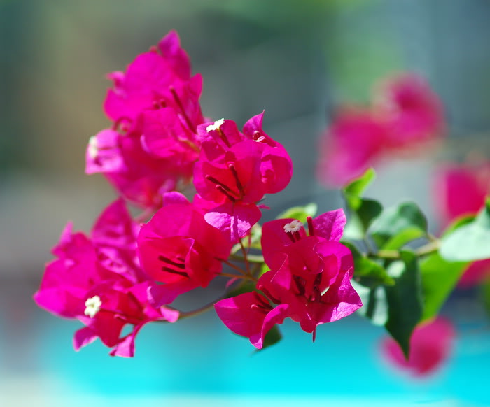 DSC_6776_resize.jpg
