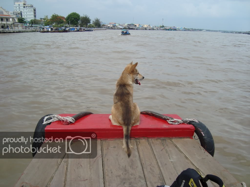 DSC00175.jpg
