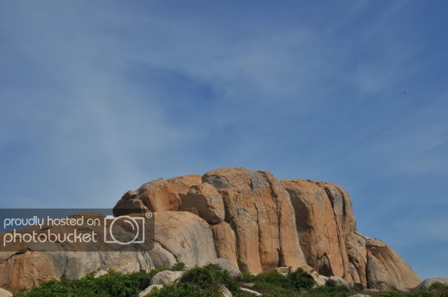 DSC_1964.jpg