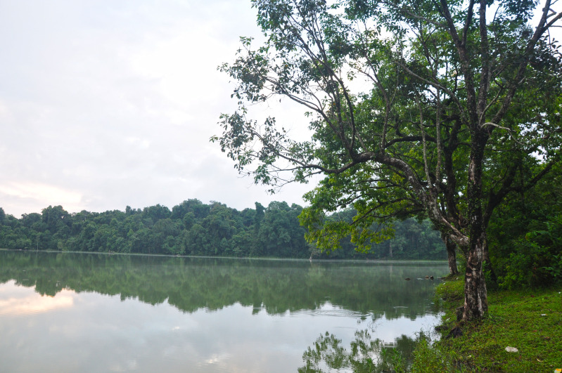 DSC_1395.jpg