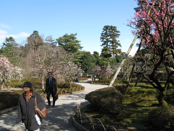 IMG_1822_resize.jpg