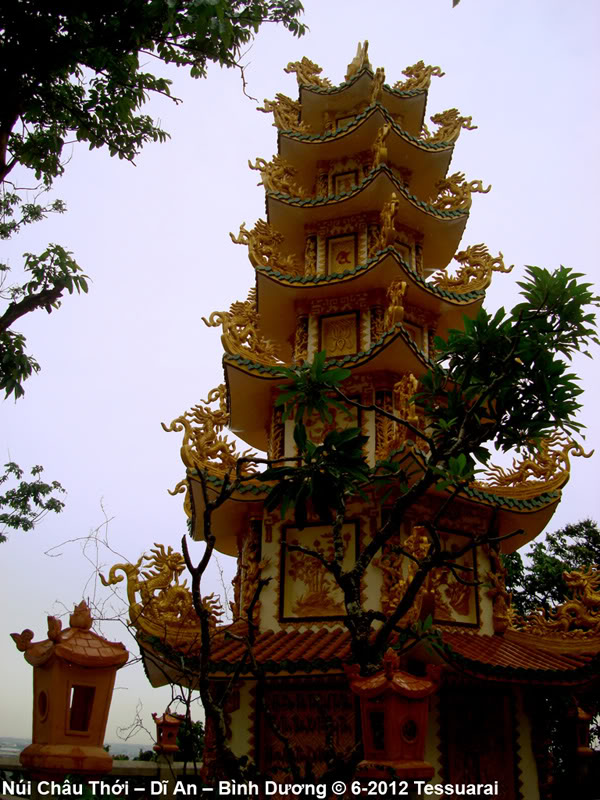 DSC05875.jpg