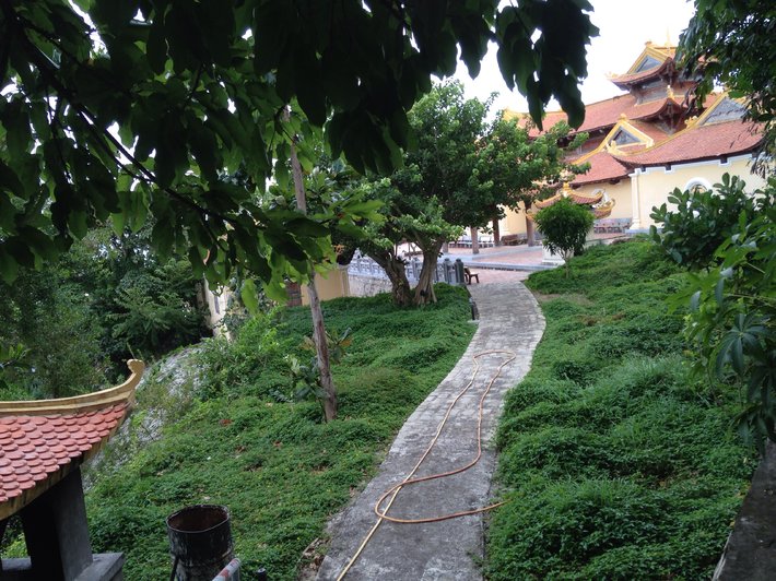 image-jpg.171424
