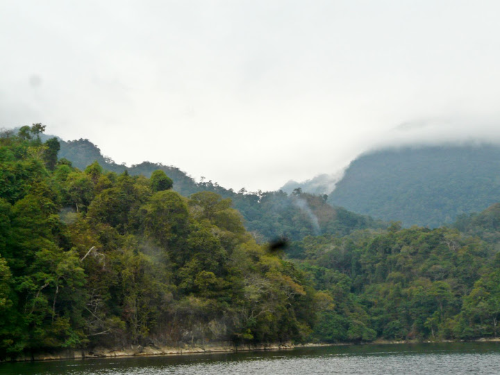 P1050554.JPG