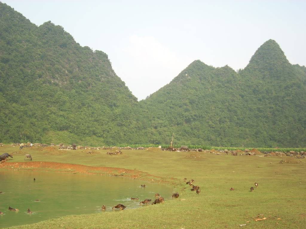 DSCN3264.jpg
