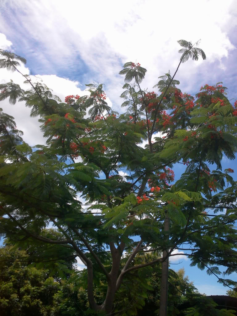 Photo0707.jpg