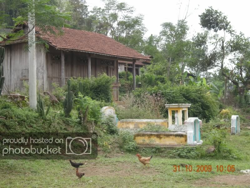 Nhacanhnghiatrang800x600.jpg