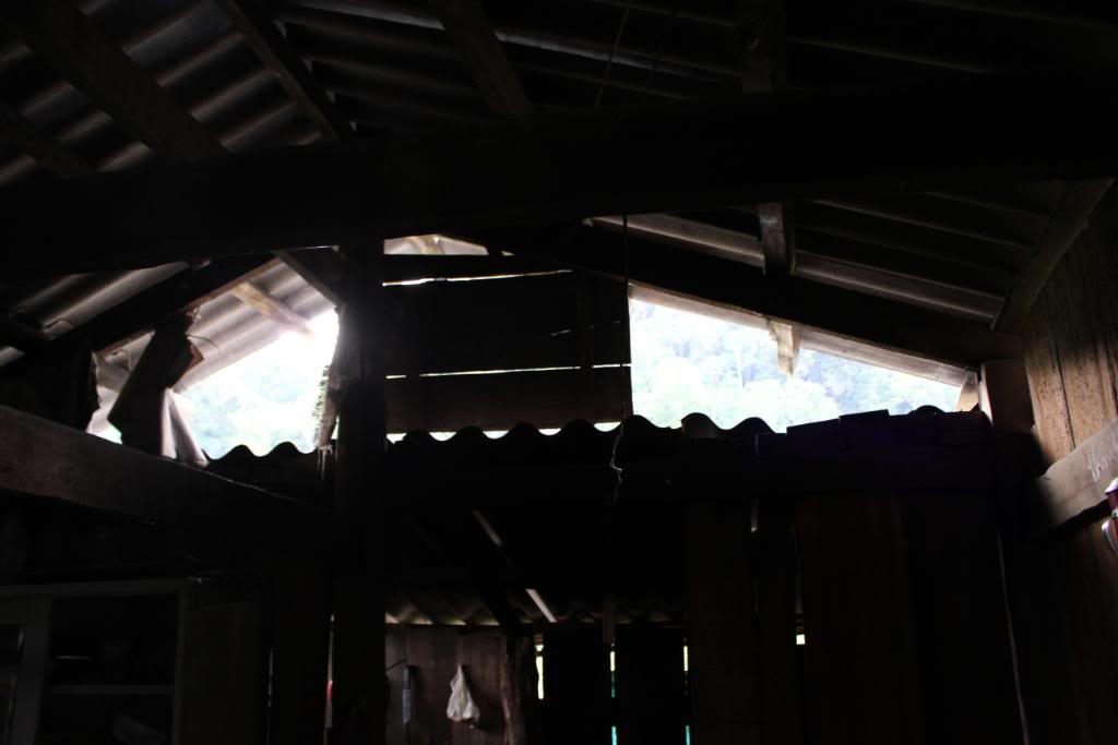 IMG_7623.jpg