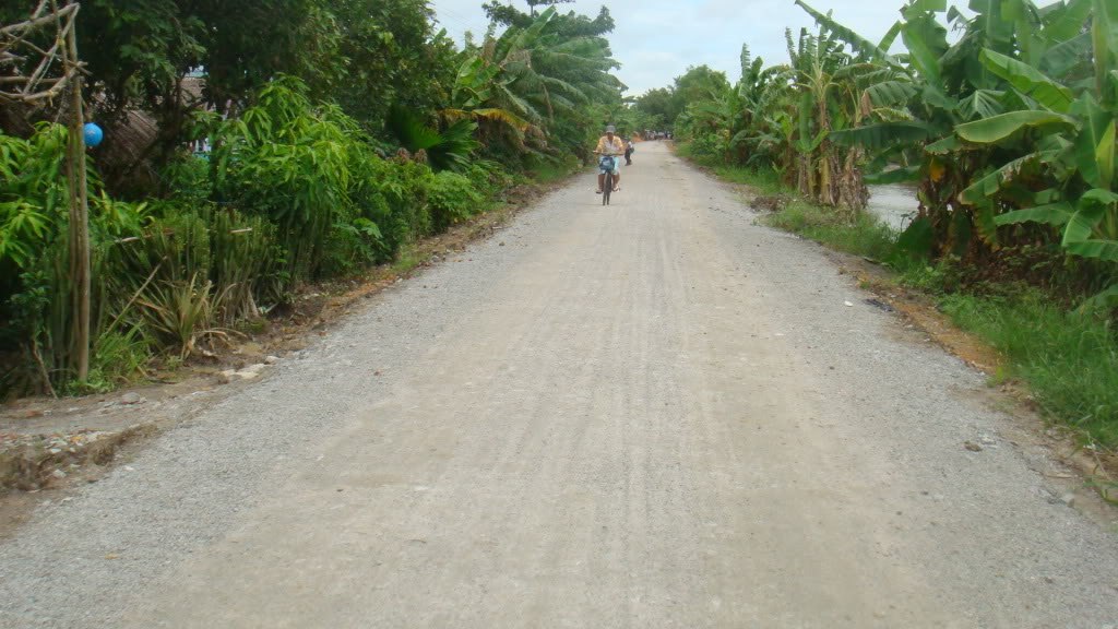 287.jpg