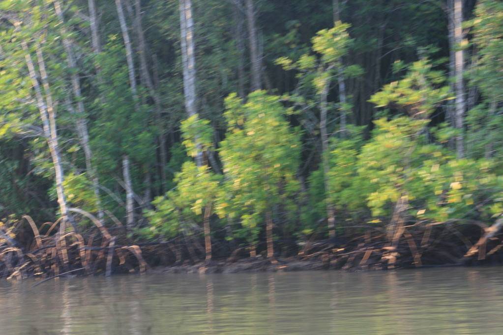IMG_6529.jpg