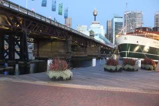 IMG_8193.jpg