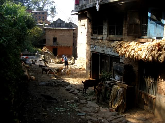 PB030713.jpg