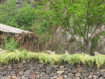 IMG_0803copy.jpg