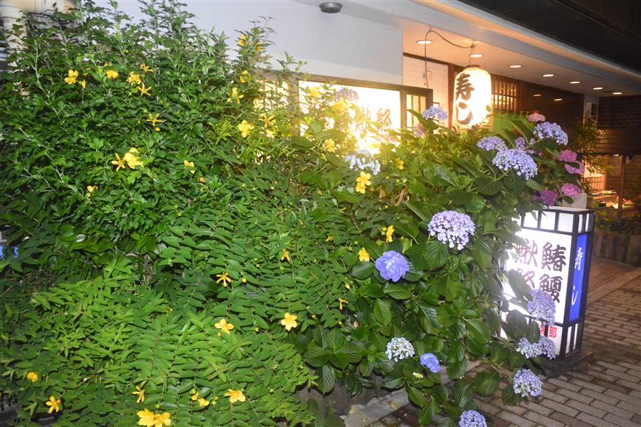 resized__SAM9196_zps9ia9qohu.jpg