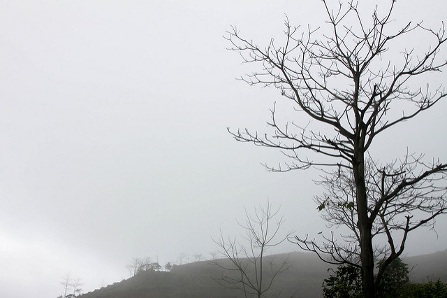 6869459995_12ac08a7cb_z.jpg