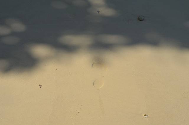 DSC_2059.jpg