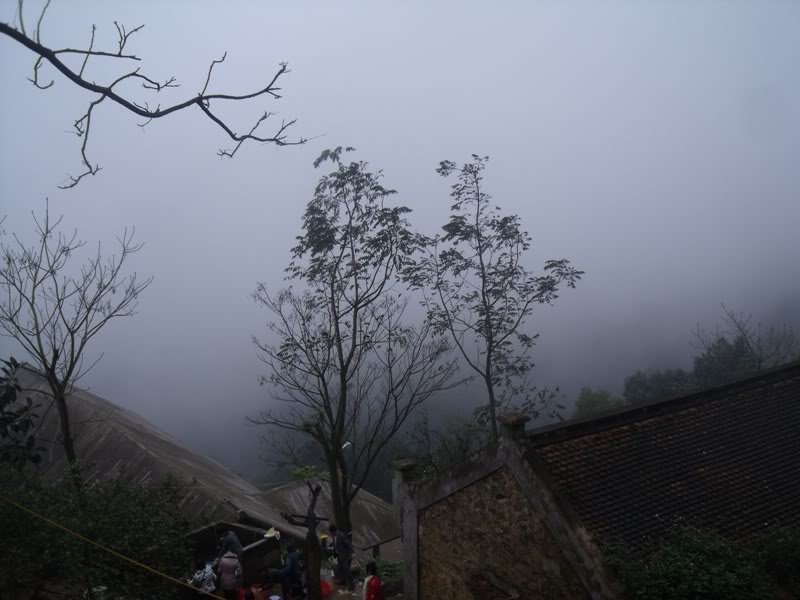 DSCF4594.jpg