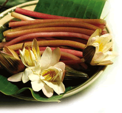 mam-kho3.gif
