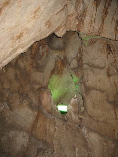 IMG_0482_resize.jpg