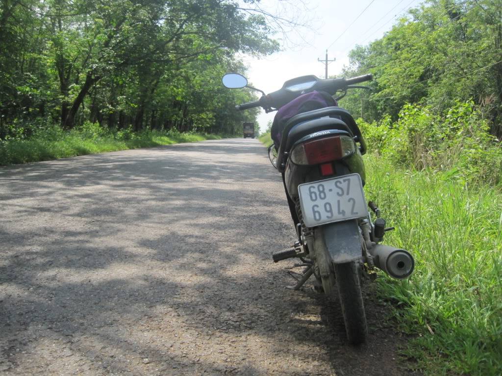 QL55QL28089.jpg