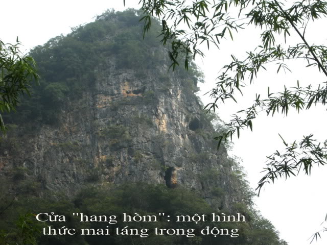 DSCN9655.jpg