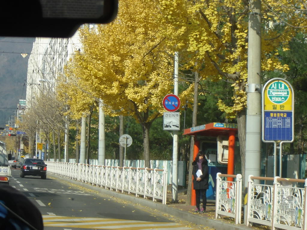 DSC09004.jpg