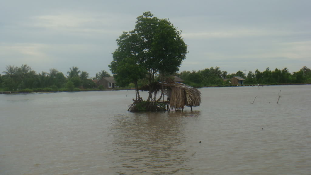 172.jpg