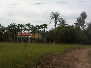 IMG360.jpg