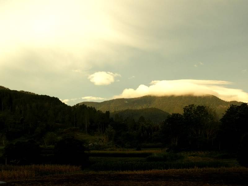 P7230580.jpg