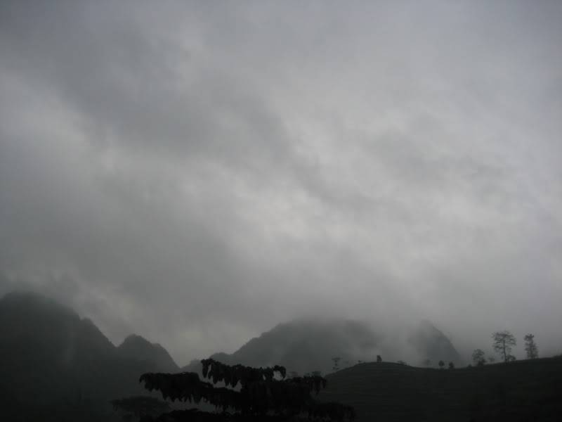 IMG_2678.jpg