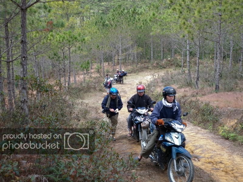 P1000638.jpg
