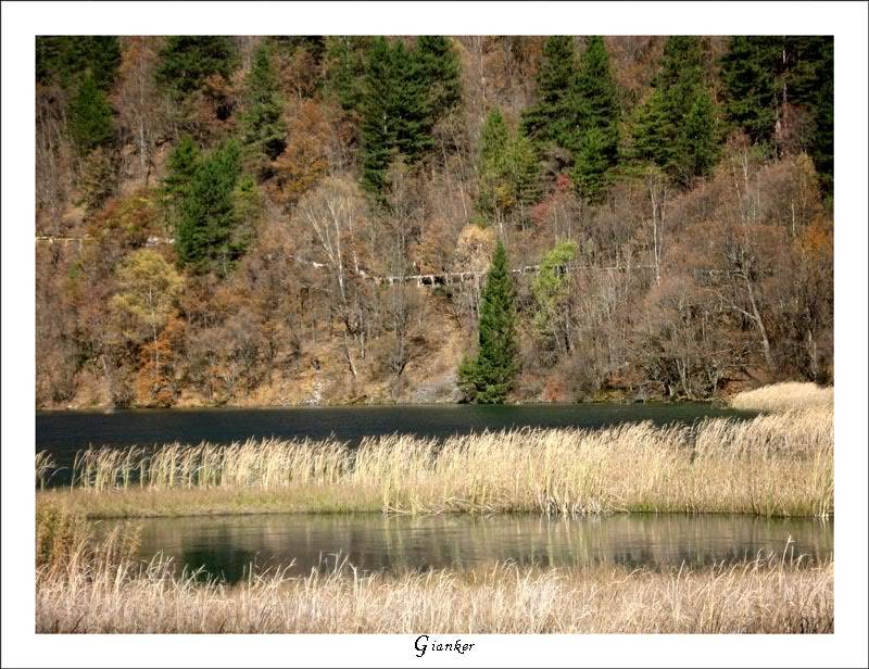 R-River8.jpg