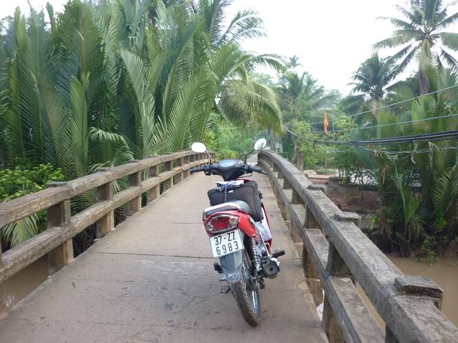 P1330728.jpg