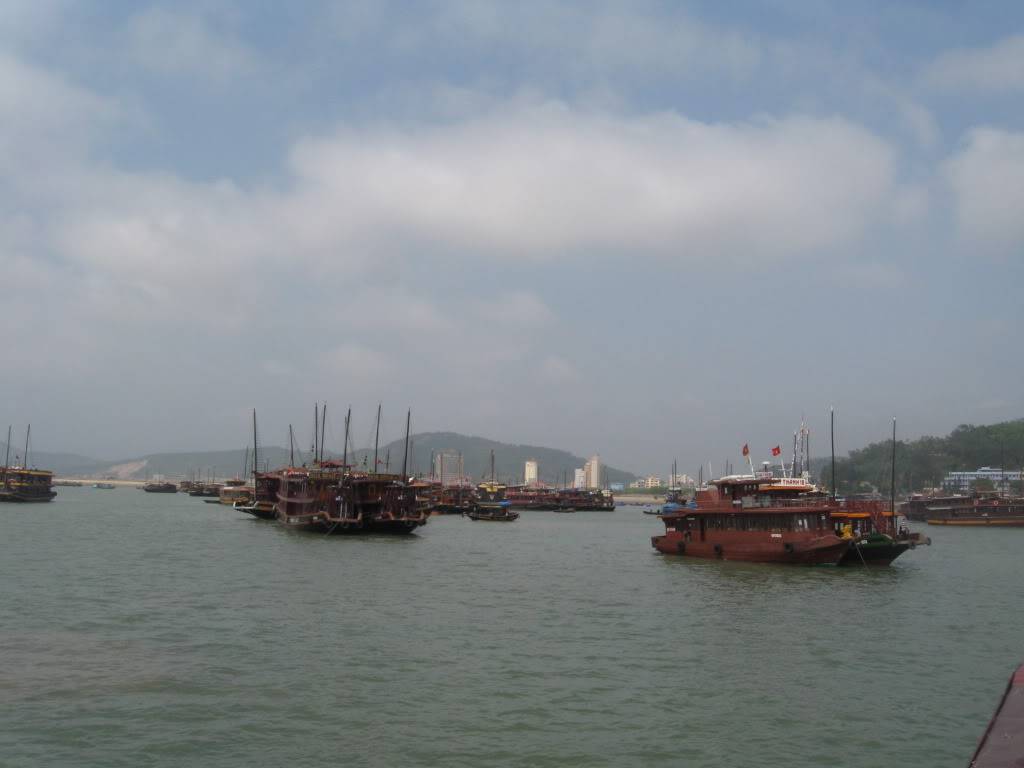 IMG_1154-1.jpg