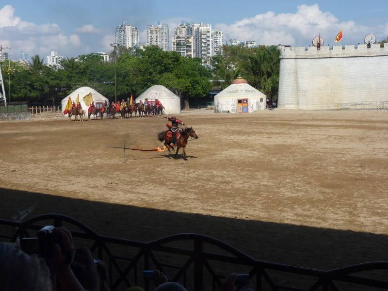 P1030611.jpg
