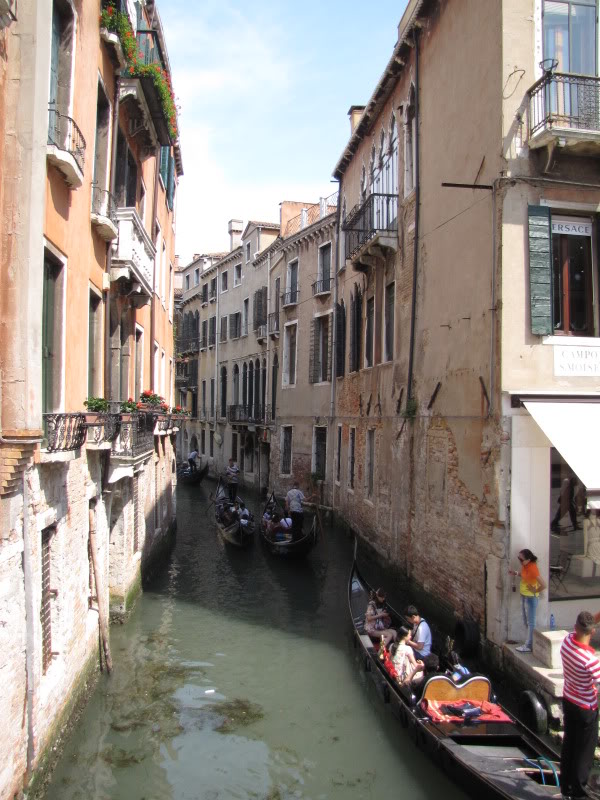 IMG_4194.jpg