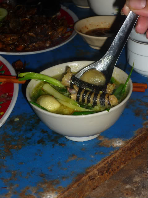P1000770-1.jpg