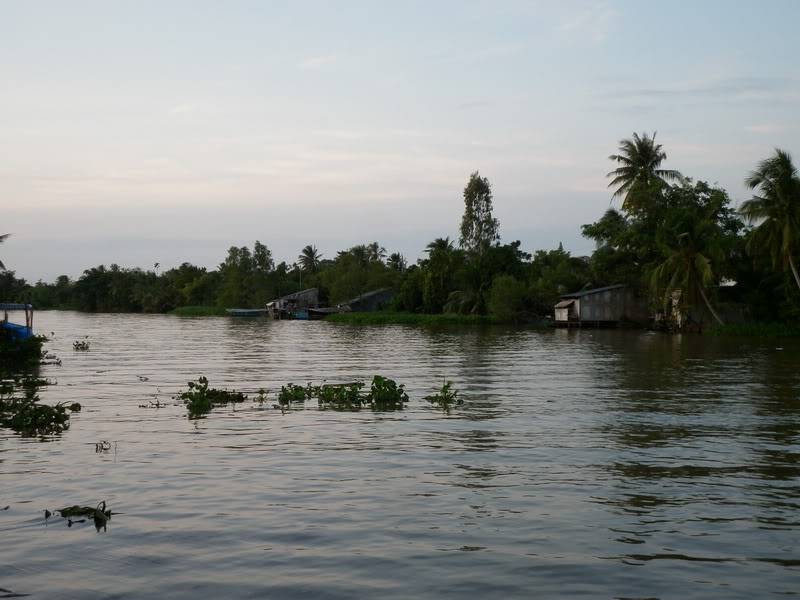 P1000185.jpg