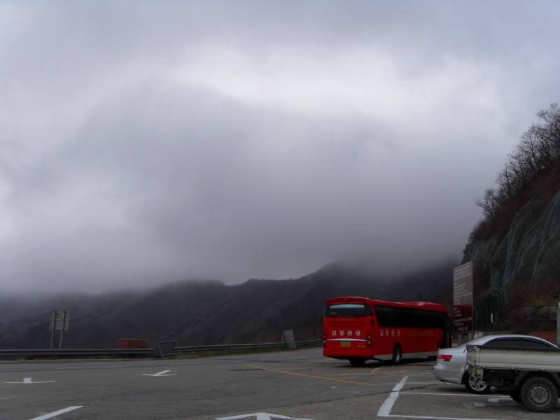 SDC10035.jpg