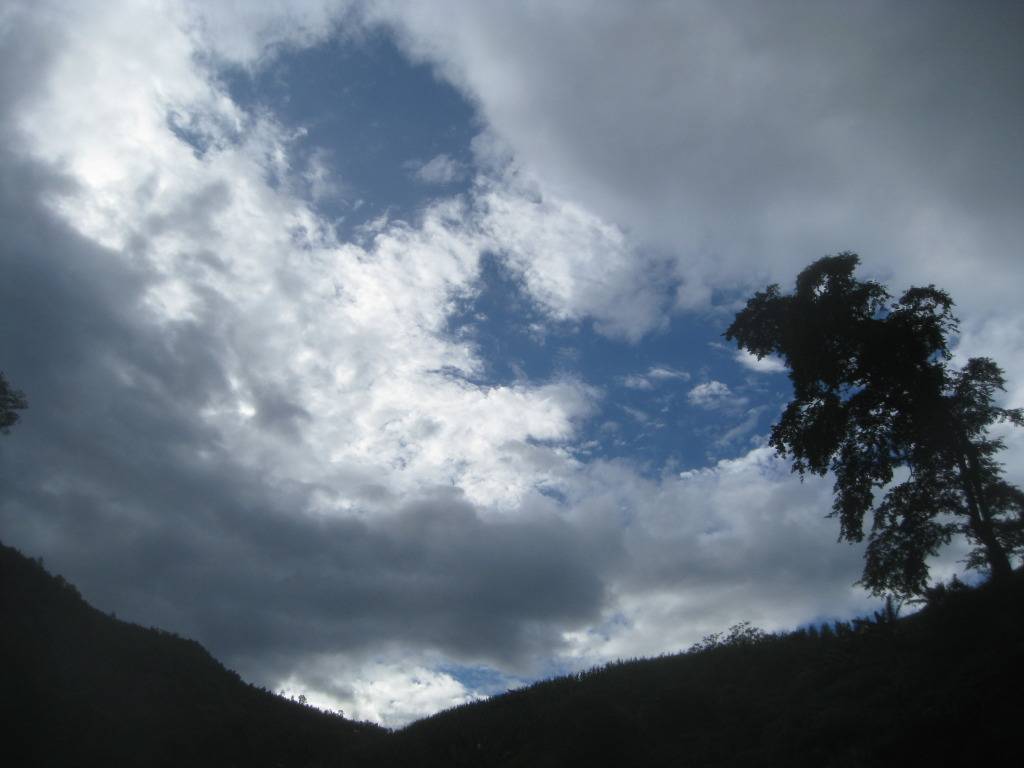 IMG_0086.jpg