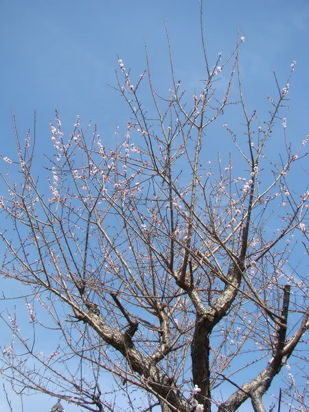 DSC02618_resize.jpg