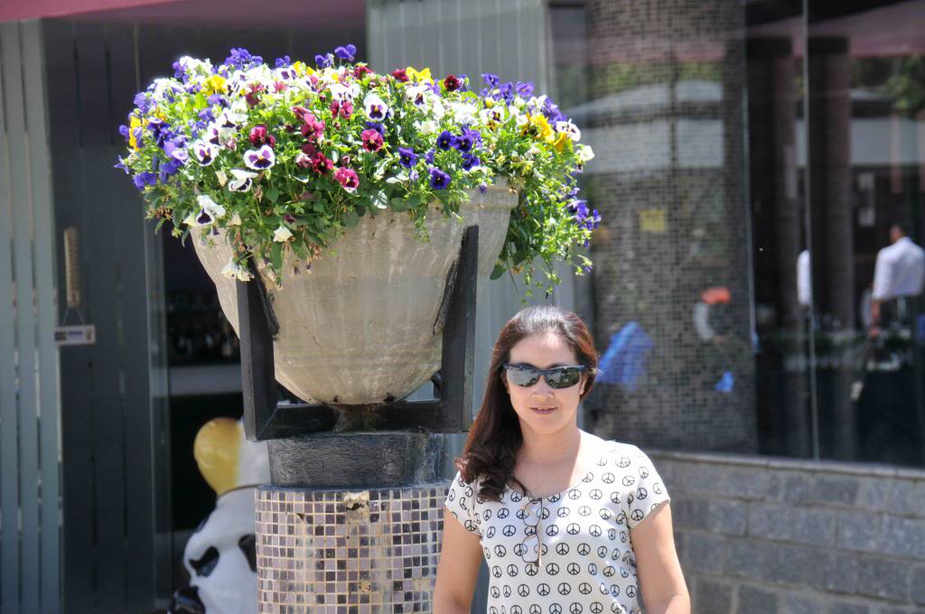 DSC_4162_zps2b0216e7.jpg
