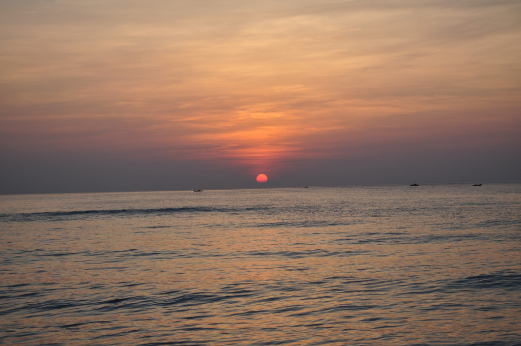 DSC_0402.jpg