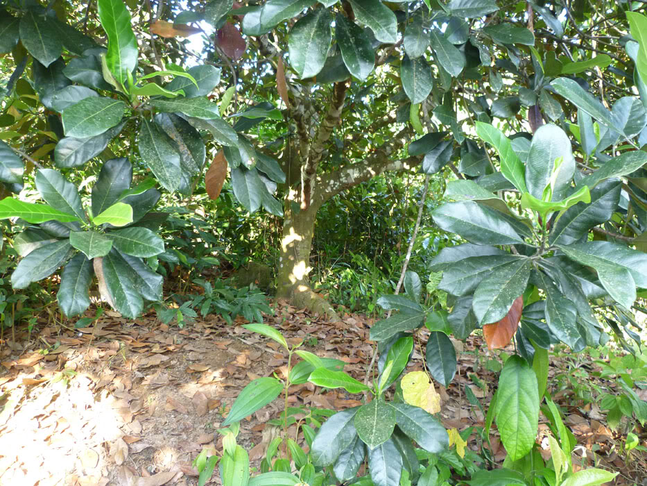 P1050826.jpg