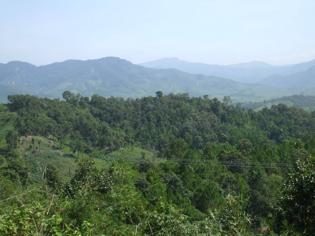 DSCF3160.jpg