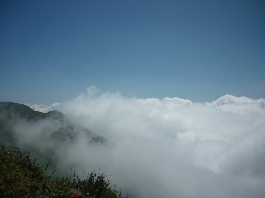 P1050360_zps2a9fd4e7.jpg