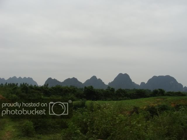 DSC08809.jpg