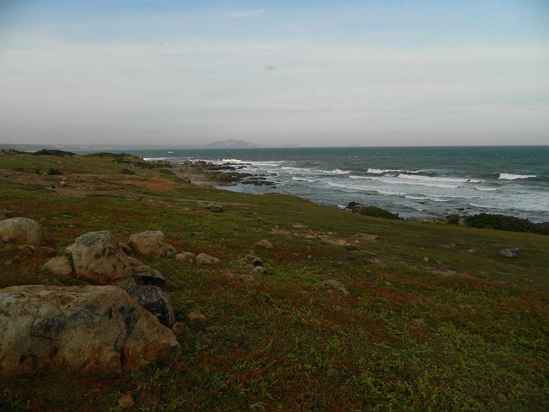 DSCN4532_360.jpg