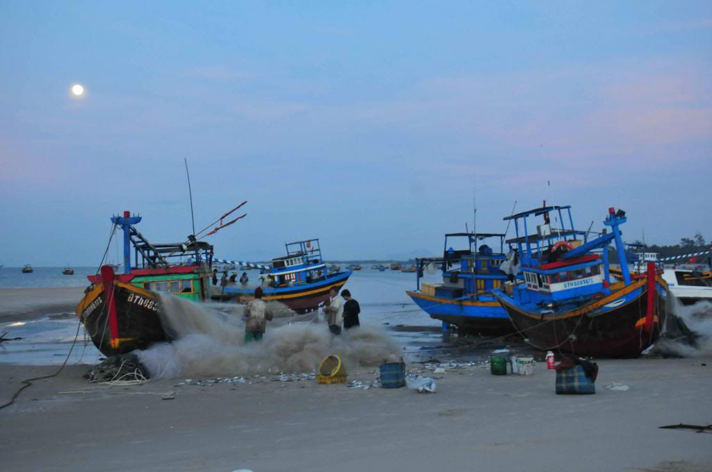 DSC_1910_zpsa8b9b450.jpg