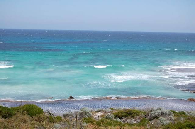 DSC_0854.jpg